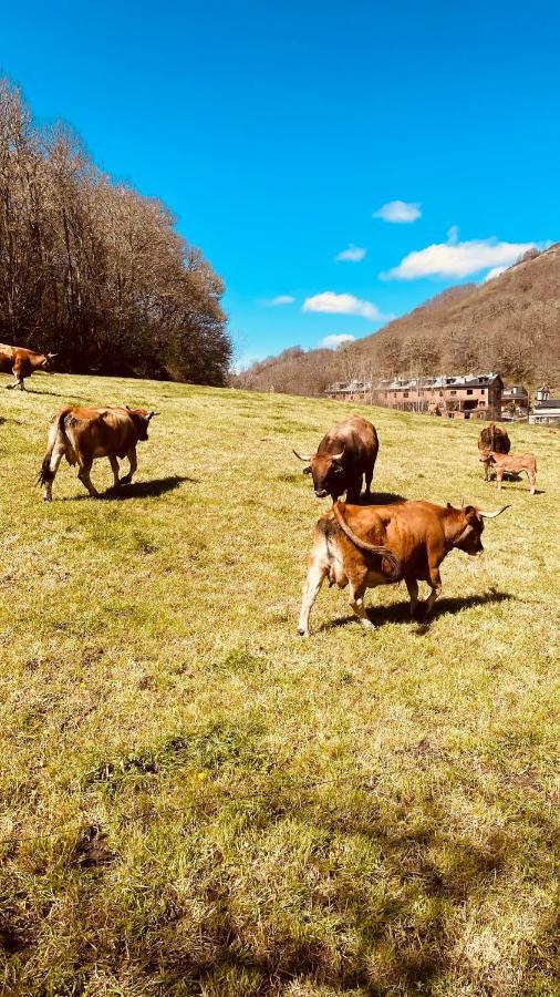 Mangata Villa Vega de Valcarce Dış mekan fotoğraf