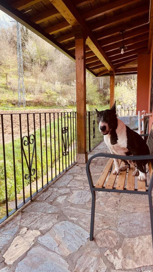 Mangata Villa Vega de Valcarce Dış mekan fotoğraf